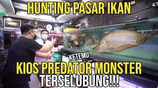 SAKIT!!! SATU SATUNYA KIOS TERSELUBUNG JUAL PEDATOR MONSTER HAMPIR 1 METER DI AKUARIUM DOANG!!!