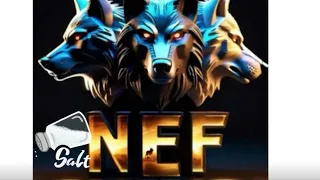 FU NEF! | Evony | NEF vs. NFG | Almost 700b alliance, shuts down!