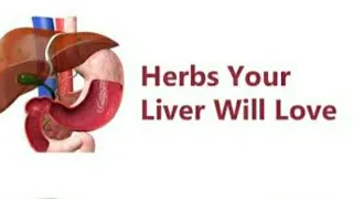 THE HERBS THAT STIMULATE HEALING IN THE LIVER: Bitter To The Mouth, Sweet To The Liver & vice versa.