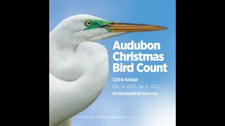 About Christmas Bird Counts  (December 2022 version)