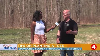 Daytime Buffalo: Tips on planting a tree | Sponsored by Russel's Tree & Shrub Farm