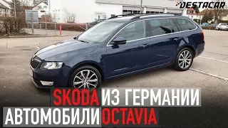 Обзор Skoda Octavia //Автомобили из Германии