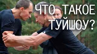 Что такое туйшоу | Парные упражнения школы Хуньюань тайцзи | Тайцзицюань и тайцзицигун