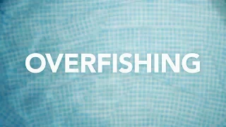 Overfishing