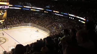 TD Garden Panorama/Goal Celebration