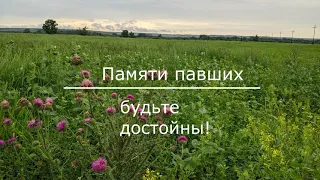 Памяти павших будьте достойны! Волгоградская область. по местам сражений в Сталинградской битве.