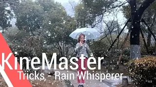 Rain Whisperer #MadewithKineMaster