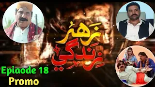 Zahar Zindagi - Episode 18 Promo SindhTV Soap Serial Drama Sindhi