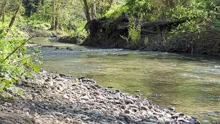 Tranquil Water (no narration)