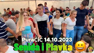 Kad Senida i plavka zaigraju zemlja se trese | Vašar Puračić 2023