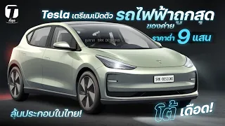 โต้เดือด! Tesla เตรียมเปิดตัวรถไฟฟ้าถูกสุดของค่าย ราคาต่ำ 9 แสน ลุ้นประกอบโรงงานในไทย! - [ที่สุด]