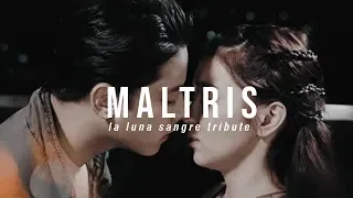 MALTRIS || YOU ARE THE PIECE OF ME