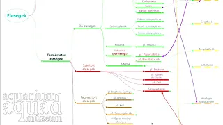 Régi dolgok 8 / Eleségek 1.