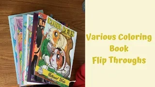 Flip Throughs of Various Coloring Books