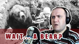 THIS BEAR FOUGHT IN THE POLISH ARMY! WHAT?  Wojtek the Soldier Bear - HISTORY OF POLAND