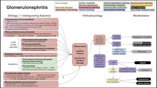 Glomerulonephritis (mechanism of disease)