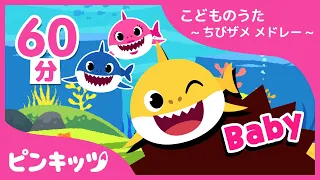 【TV】ベイビーシャークと歌おう！全シリーズまとめ | おうちで楽しく | サメのかぞく | 赤ちゃんが喜ぶ歌 | キッズ動画 | ピンキッツ！