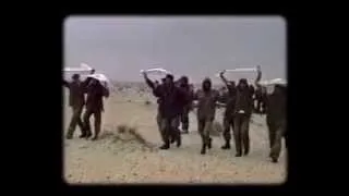 Military History: The Gulf War