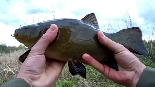 Линь на безнасадочную мормышку! Боковой кивок. Безмотылка.