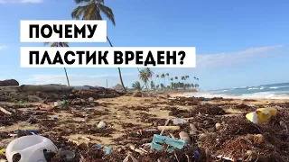 ВРЕД ПЛАСТИКА: 4 ПРИЧИНЫ ОТКАЗАТЬСЯ ОТ ПЛАСТИКА