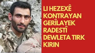 Li hezexê kontrayan gerîlayek radestî dewleta Tirk kirin