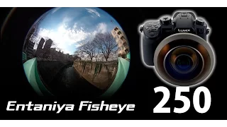 Entaniya  Fisheye 250 3.0 on Panasonic Lumix DC-GH5