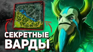 ВСЁ ПРО ВАРДЫ И ВИЖЕН В ДОТЕ.: СЕКРЕТНЫЕ ВАРДЫ - NECR DOTA 2