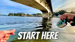 How to Get Started w/Saltwater Beach Fly Fishing (Coastal Cutthroat)