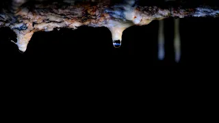 Relaxing Sound Of Water Drops In A Cave