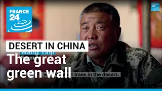 China’s 'Great Green Wall’: The farmers planting trees to hold back the desert • FRANCE 24 English