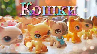 LPS: КОЛЛЕКЦИЯ КОШЕК