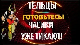 ♉ТЕЛЬЦЫ ГОТОВЬТЕСЬ! ЧАСИКИ УЖЕ ТИКАЮТ! РЕШЕНИЕ НУЖНО СРОЧНО ПРИНЯТЬ!