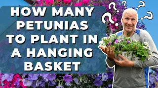 How Many Petunias to Plant in a Hanging Basket
