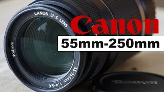 Canon EF-S 55-250mm Telephoto Lens Review (Sample Photos & Video)