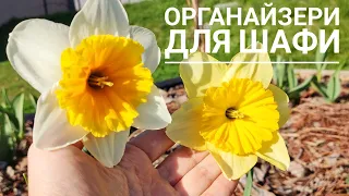 204. ОРГАНАЙЗЕРИ для шафи. СТУЛ перед дзеркалом. КВІТИ в саду