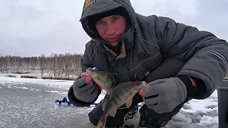 ПЕРВЫЙ ЛЁД 2022! Страшно,ВОДА на ЛЬДУ!  Ловлю ЩУК и ОКУНЕЙ на БАЛАНСИР