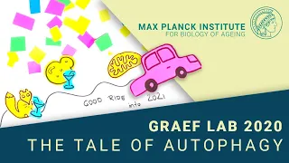 The Tale of Autophagy - Graef Lab 2020