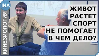 Живот растет. Спорт не помогает. В чем дело? Проф. Васильева. Обучение кинезиологии