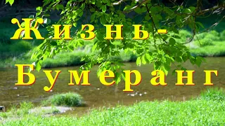 Сильное стихотворение "Жизнь - бумеранг" Олега Гаврилюка, читает Середенко Надежда