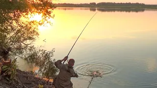 ДЕДЫ ПОКАЗАЛИ КАК ЛОВИТЬ! ВОТ ЭТО УЛОВ!!! ВПЕРВЫЕ ТУТ И СРАЗУ УДАЧА! Ловля карпа сазана на донки