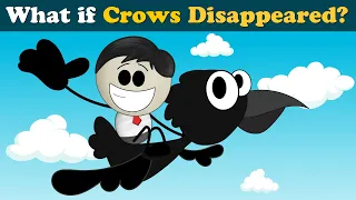 What if Crows Disappeared? + more videos | #aumsum #kids #children #education #whatif