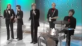 Herman's Hermits   There's A Kind Of Hush 1967 HD
