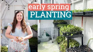 Cold Tolerant Flowers & Vegetables: Planting in Zone 3 in April