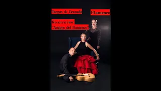 #flamenco Tangos de Granada. Коллектив Amigos del flamenco. Краснодар. (танец- Виктория Алферова)