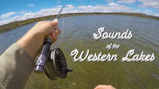 Sounds of the Western Lakes