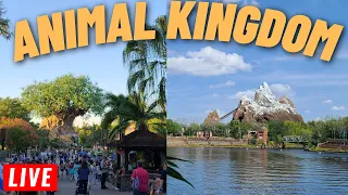 🔴 LIVE: Monday Morning at Disney's Animal Kingdom happy May 15th 2023