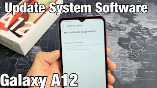 Galaxy A12: How to Update System Software to Latest Android Version