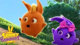 SUNNY BUNNIES - WATCH OUT! | SEASON 5 HITS COMPILATION | Cartoons for Kids