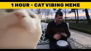 Cat Vibing To Ievan Polkka - 1 HOUR -  Cat Vibing Meme 😂 😂 😂