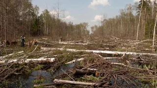 Environmental Issues In Southeast Asia